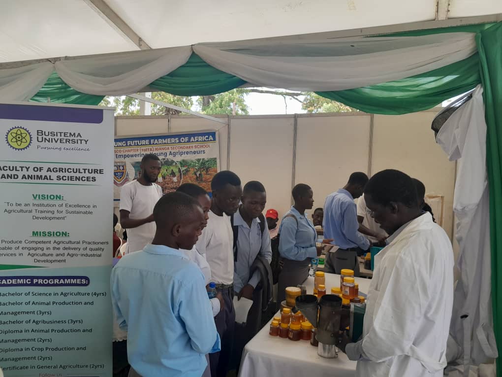 Faculty exhibition and community outreach activity