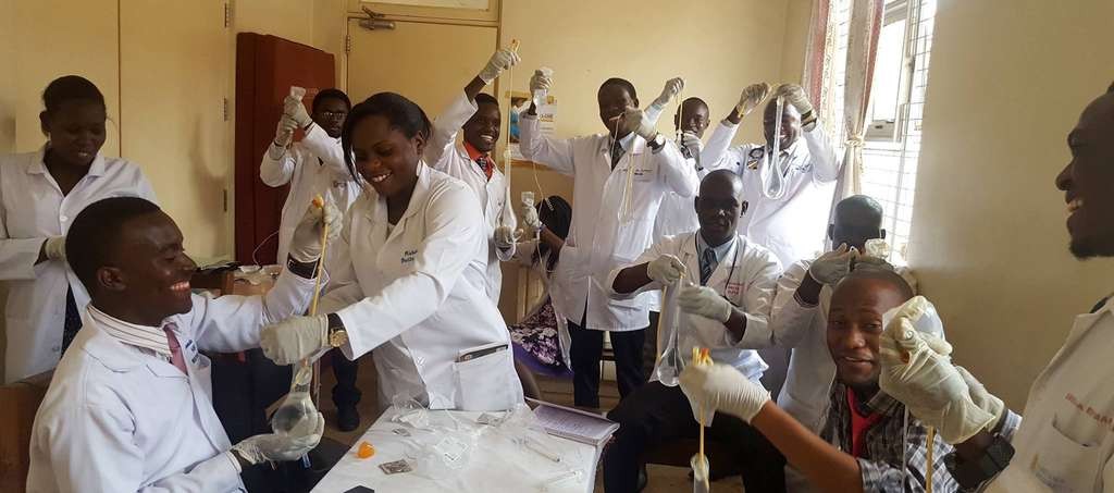 Students taking part in a Health Sciences laboratory practical